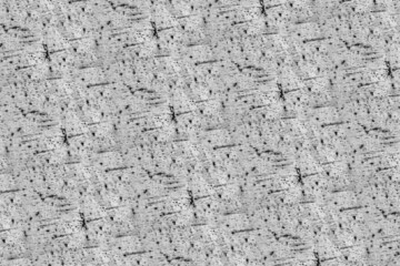 wood bark wooden texture structure pattern