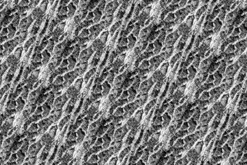 wood bark wooden texture structure pattern