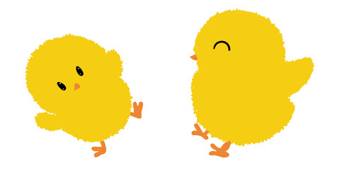 Cute pair of chicks isolated on white background. Cartoon newborn baby bird. Vector illustration.