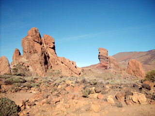 Fototapeta premium <Digimax S500 / Kenox S500 / Digimax Cyber 530>