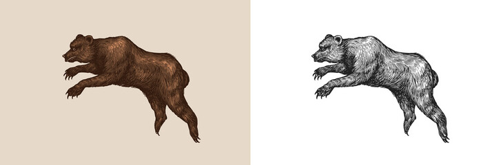 Cave bear. Extinct brown animal. Vintage retro vector illustration. Doodle style. Hand drawn engraved sketch
