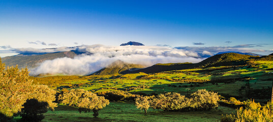 Panorama de la plaine des Cafres, La Réunion. - 447693789