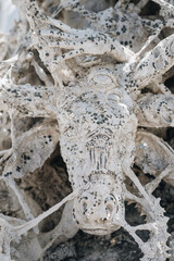 Close-up details Wat Rong Khun, known as the White Temple