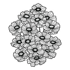 Fototapeta premium Flowers Terry Calibrachoa. Stock vector illustration eps10, outline hand drawing. Isolate on a white background. 
