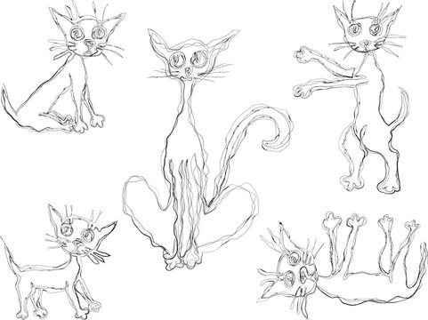Contour doodle drawings of cartoon domestic cat with cute kittens