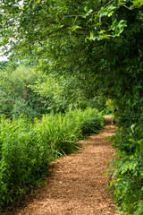 path in the park
