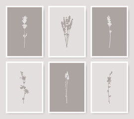 Botanical flowers art print cards. Floral silhouette illustrations. Collection of nature leaves shapes.