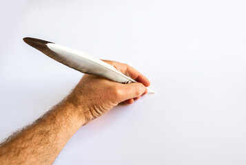 hand writing with a bird feather