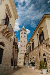Fototapeta na wymiar Il campanile della cattedrale di Trani