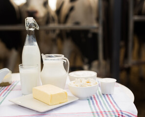 jug of milk, bottle of kefir, cottage cheese, cream and yogurt in bowl, cheese, butter on table in cowshed