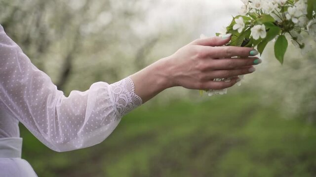Woman's hand of the bride touches the branch of blossoming tree in the garden in summer