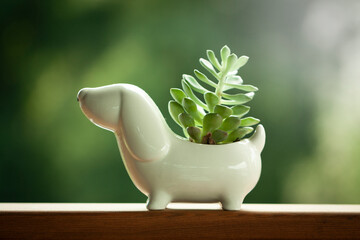 Horizontal photography of a white ceramic pot for a small green houseplant in the form of a dog against blurred green background
