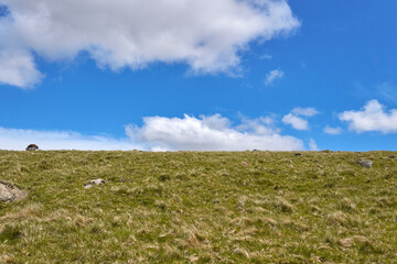 Obraz premium The West Dart Valley on a beautiful blue sky cloudy day, Dartmoor National Park, Devon, England, UK