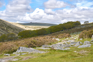 Fototapeta premium The West Dart Valley on a beautiful blue sky cloudy day, Dartmoor National Park, Devon, England, UK