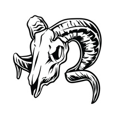 GOAT HEAD SKULL DRAWING ILLUSTRATION VECTOR DESIGN