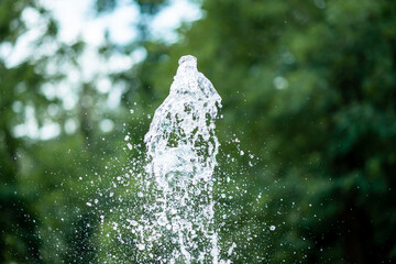 Water jets of the fountain on the background of green trees in the park.