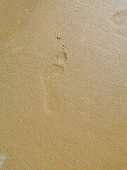 sandy shore of the lake prints of human footprints and water flows