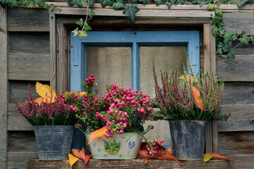 Herbstdekoration an altem Holzfenster im Garten