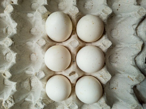 eggs on the cartoon bov