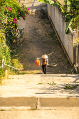 Dew and sunny morning on TuyenLam lake- Dalat, an unidentified man rowing a boat, beautiful view of Da Lat
