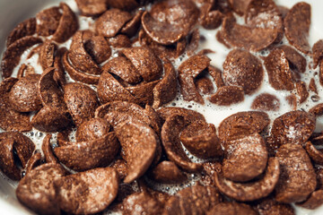 Closeup of Chocolate cereal with selective focus. Shallow depth field. Healthy food concept