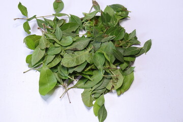 Fresh henna green leaf ( Lawsonia inermis ) isolated on white background