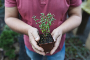 Hand of caucasian male gardener holding a plant in pot at garden centre