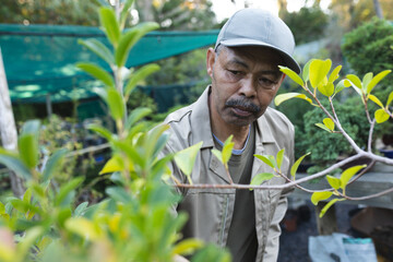 African american male gardener taking care of plants at garden centre