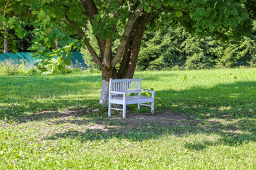 A bench made of white boards in the shade of a perennial oak tree in a city park in summer