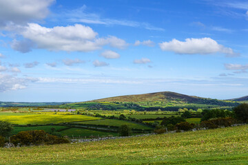 Dartmoor National Park, Devon, England, UK
