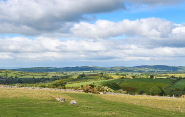 Dartmoor National Park, Devon, England, UK