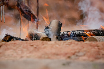 Fogo crepitando no chão, a brasa perfeita para assar carnes, espalhando um aroma irresistível pelo ar.