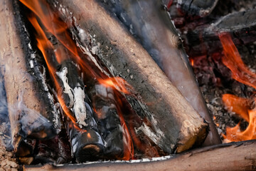 Fogo crepitando no chão, a brasa perfeita para assar carnes, espalhando um aroma irresistível...