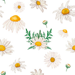 Watercolor illustration of a white chamomile pattern with leaves on a white background. Hand-drawn and suitable for all types of design and printing