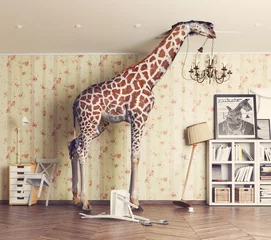 Foto auf Alu-Dibond giraffe  in the living room © Victor zastol'skiy