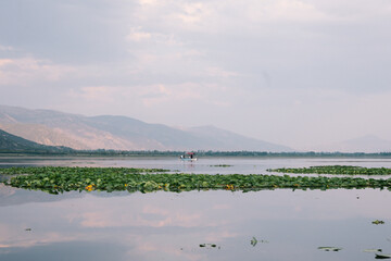 Lake with lotus flowers. Lake and lotus flowers at the foot of the mountain. Green cover over the lake. Işıklı Lake, which is a natural wonder in Denizli. Selective focus.