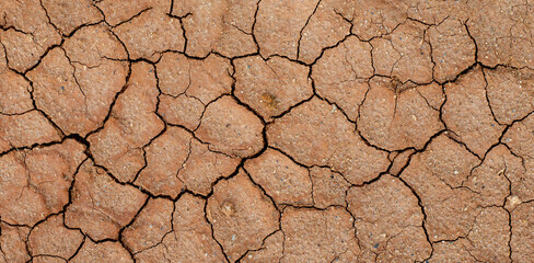barren ground cracks due to drought