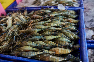 fresh lobster decoration in container at the seafood market