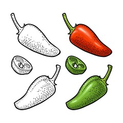 Whole and slice pepper jalapeno. Vector color illustration isolated on white background.