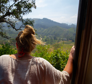Travel lifestyle view of girl looking out the train window, travelling through green tea fields of Nuwara Eliya on the route from Kandy to Ella in Sri Lanka.