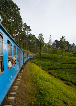 Travel lifestyle view of girl looking out the train window, travelling through green tea fields of Nuwara Eliya on the route from Kandy to Ella in Sri Lanka.