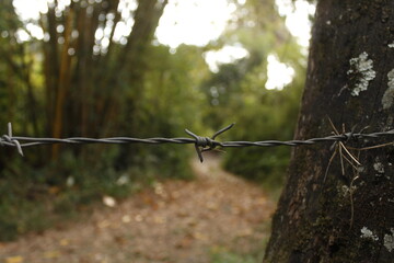 path with a wire obstacle that does not leave traffic,