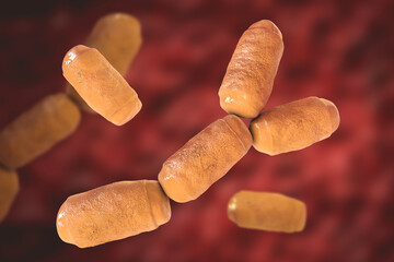 Methanobrevibacter smithii microorganisms, 3D illustration, the predominant archaeon in the microbiota of the human intestine