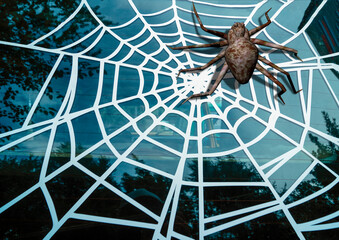 A spider with a web on the windshield of a car.