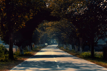 A beautiful road that shines her beauty with sun.