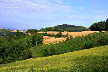 panorama of the langhe in sale san giovanni cuneo italy