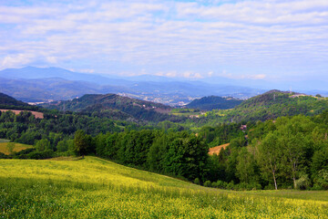 Fototapeta na wymiar panorama of the langhe in sale san giovanni cuneo italy