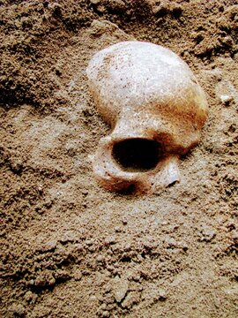 Calavera que asoma desde la arena