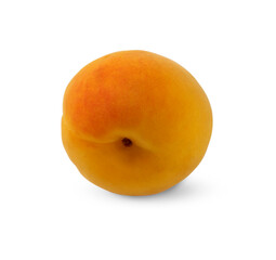 Apricot with a pink side isolated on a white background.Use for posters, labels and web design