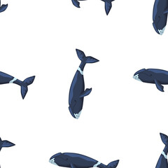 Seamless pattern Bowhead whale on white background. Template of cartoon character of ocean for children.